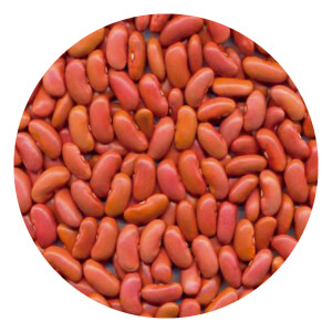 Porotos rojos Image