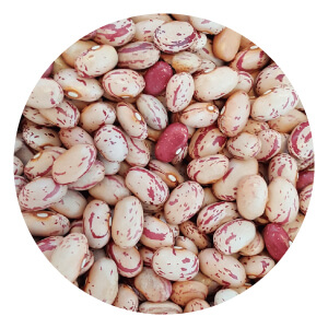 Porotos cramberry Image