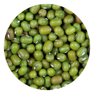 Porotos mungo Image