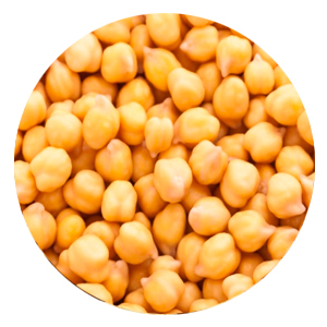 Garbanzo Image