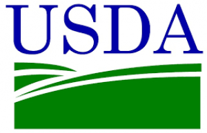 INFORME USDA AGOSTO 2020