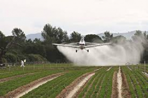 Agroquímicos. Embargaron en $5 millones a productores de Pergamino