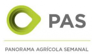 PANORAMA AGRICOLA SEMANAL 10/05/2021