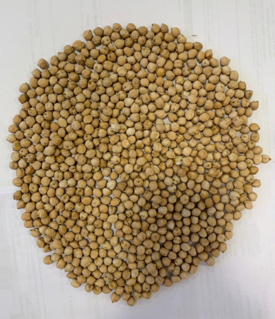 GARBANZO