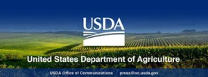 LA PREVIA DEL USDA – SIEMBRAS &amp; STOCKS