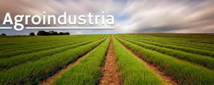 Estiman que la agroindustria invirtió más de 9.000 millones de dólares en 2019