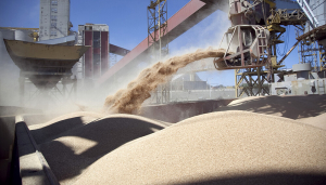 China aumentó 12,2% las importaciones de productos agropecuarios en marzo