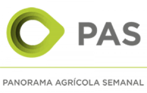 PANORAMA AGRÍCOLA SEMANAL AL 16/08/2020