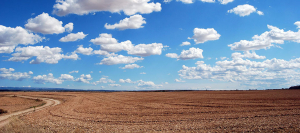 Una campaña agrícola con las lluvias ajustadas