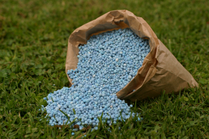 La fertilización con nitrógeno se duplicó en cinco años, pero aún es insuficiente