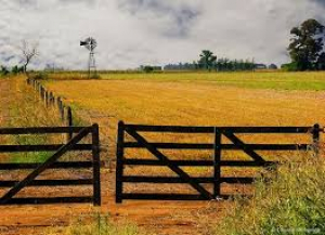 La voz de la producción. La historia de los Miroglio pinta la evolución del agro argentino