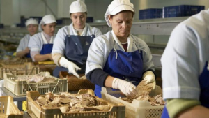 Con reintegros de hasta $ 500.000, el Gobierno financiará proyectos de pymes alimentarias