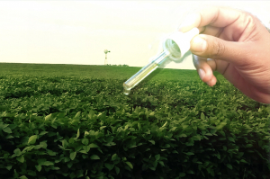 Innovación argentina. Nace una nueva agricultura, más sustentable y con mejores rindes