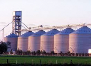 Afirman que hay producciones que están 30% debajo de su potencial por falta de capital o logística