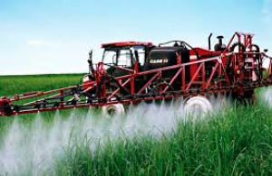 Protección de cultivos. Y si las malezas no son el problema, sino la solución por su “efecto bioherbicida”