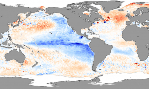 Si se hace oficial el pronóstico climático, las plagas de la soja cotizarán en “blue”