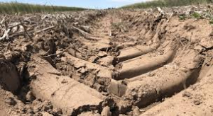 Una huella sustentable en los suelos: la biología y la mecánica, unidas para combatir la compactación