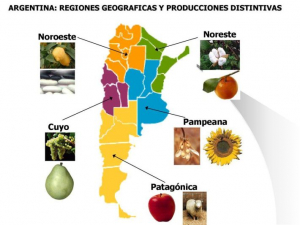 El campo, hoy: radiografía de las economías regionales en medio de la crisis y la tensión con el Gobierno
