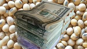 Desde el Banco Central aseguraron que los productores deben comprar los insumos con el dólar oficial